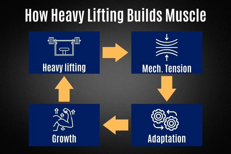 Why skinny guys should lift heavy weights to build muscle.