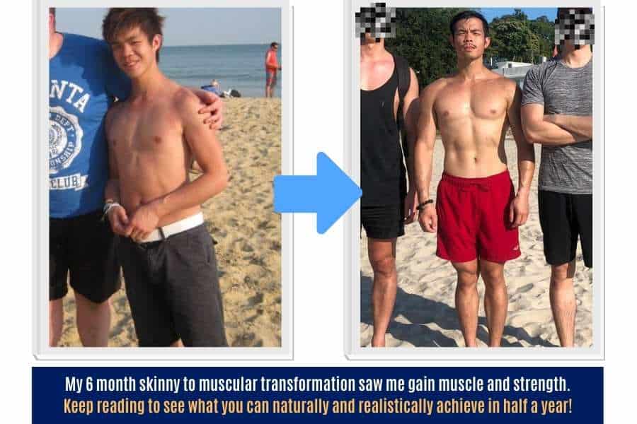 How I transformed from skinny to muscular in 6 months and a realistic amount of muscle you can naturally build in half a year.