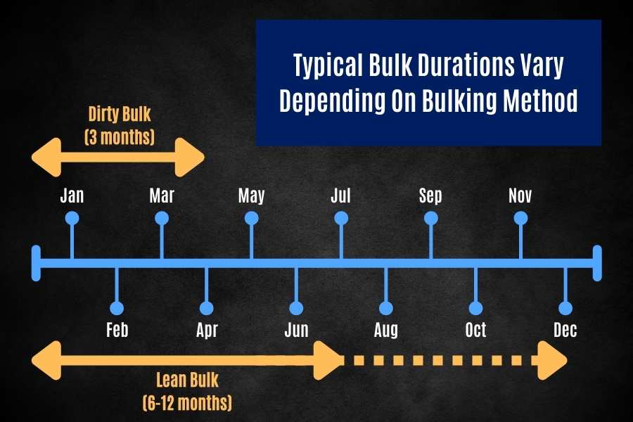 How long a bulk should last depends on whether you you are dirty or lean bulking.