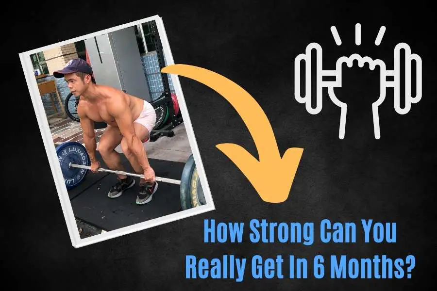 How much strength can you gain in 6 months