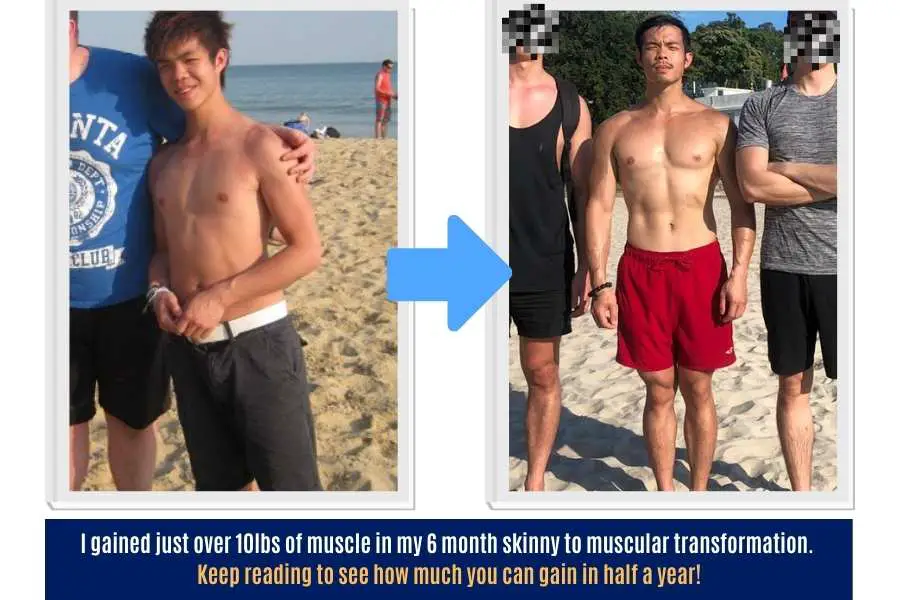 I gained just over 10lbs (5kg) of muscle in 6 months or half a year.