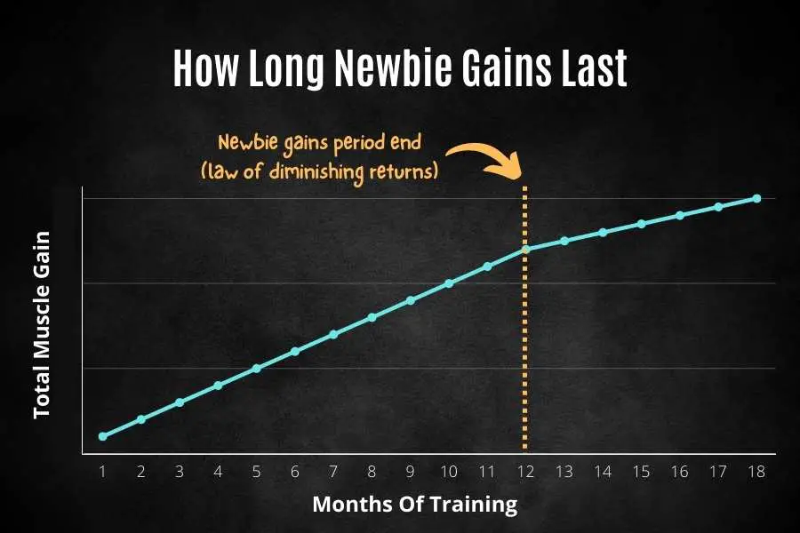 Newbie gains period of accelerated muscle growth can last for around 1 year or 12 months.
