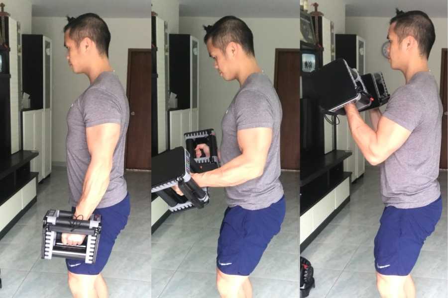 Dumbbell curling a medium weight with moderate reps.