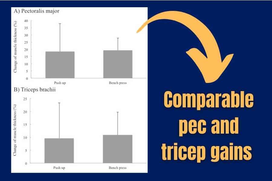 Studies show bodyweight and free weight training are both effective for increase muscle size.