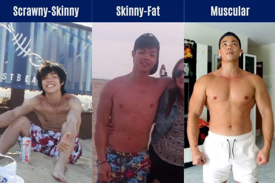 Visual difference between a skinny and muscular person.