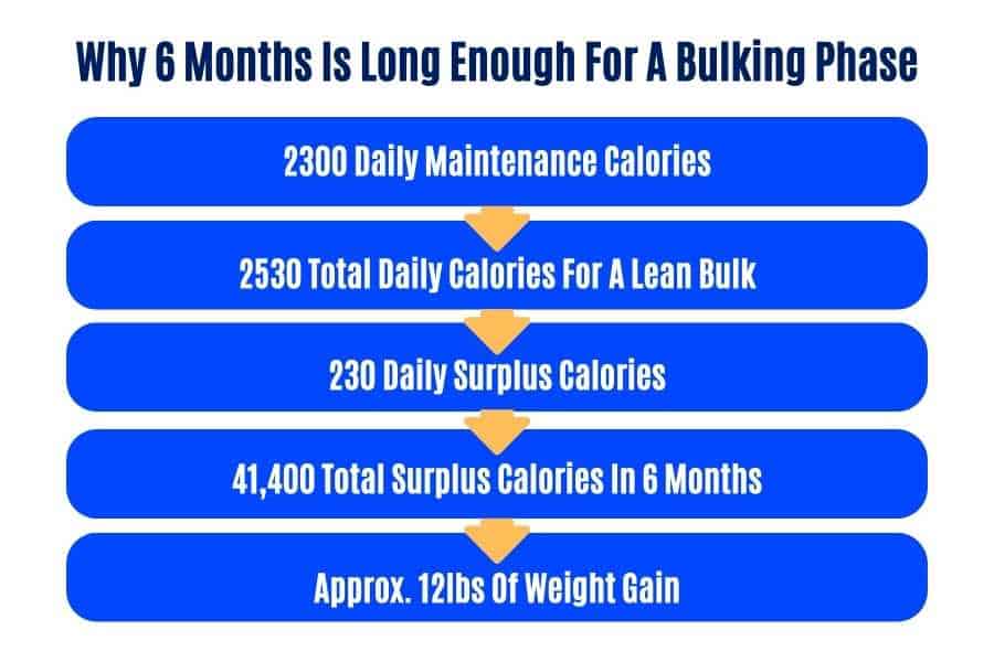 Example calorie calculation shows that 6 months of bulking are enough for results.