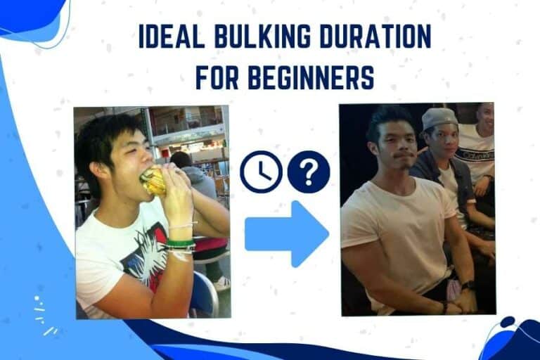 how-long-should-i-bulk-for-ideal-duration-for-beginners