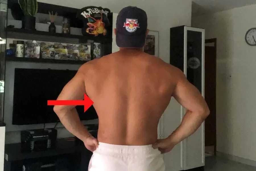 The lats are located along the side of the back.