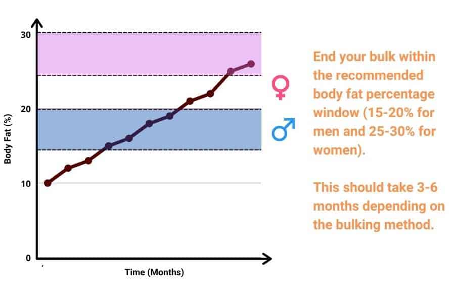 Recommended body fat percentage windows to stop bulking and start cutting.