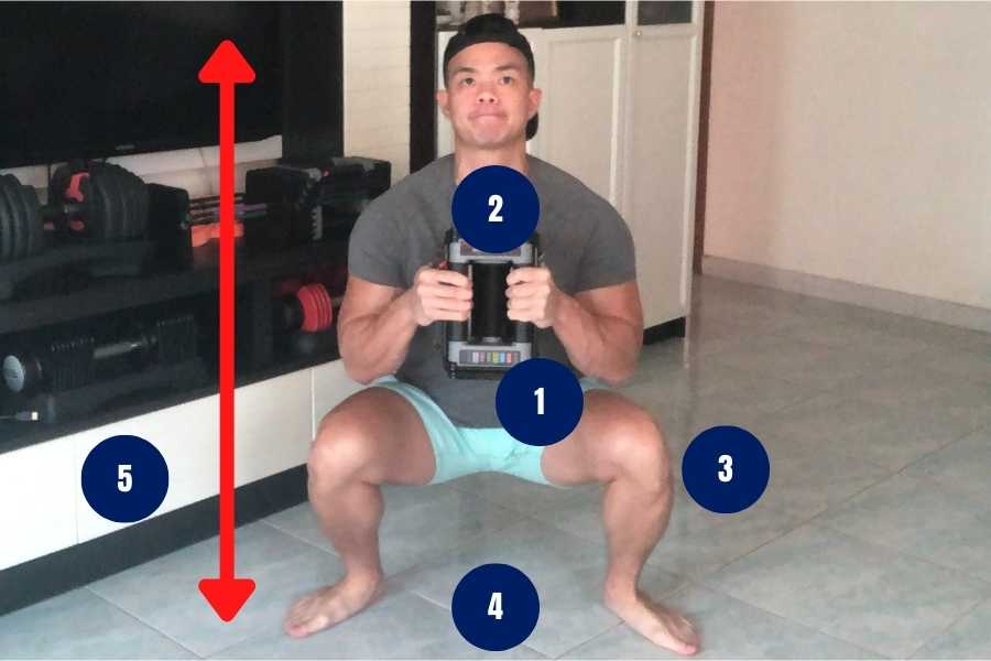 Differences between the different squat variations.