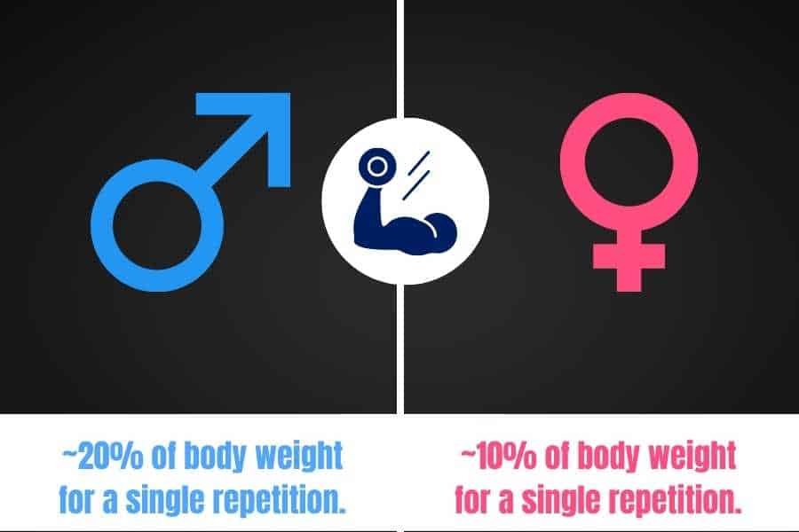 Average bicep curl weight for men and women.