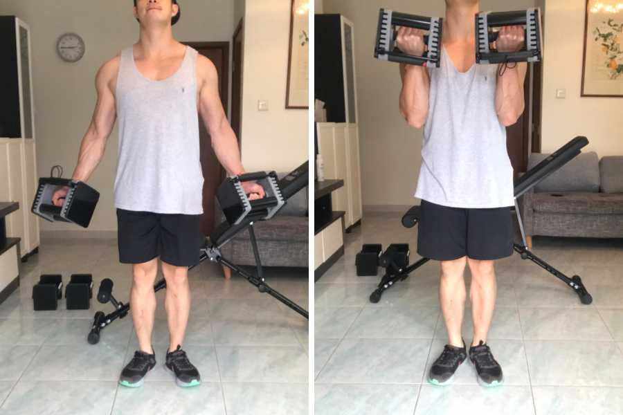 How to do the dumbbell bicep curl.