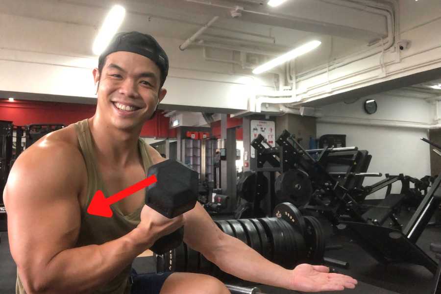 What big biceps look like.