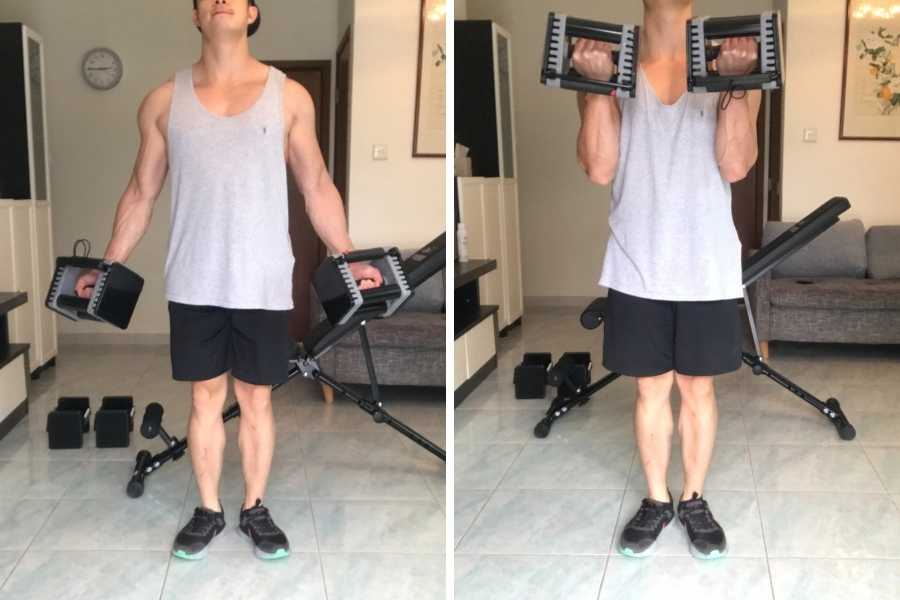 How to do the dumbbell curl.