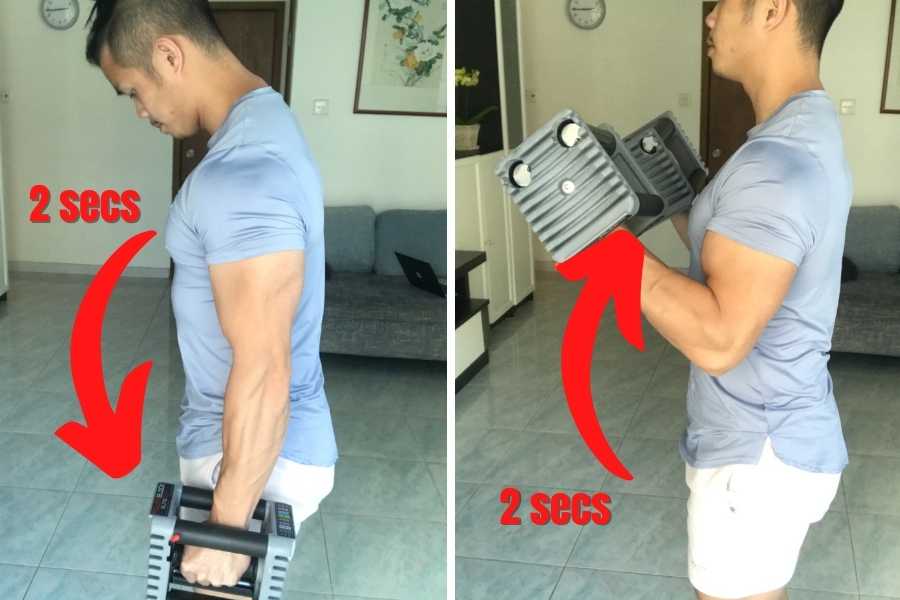 Using a weight that allows you to bicep curl with good form is ideal.