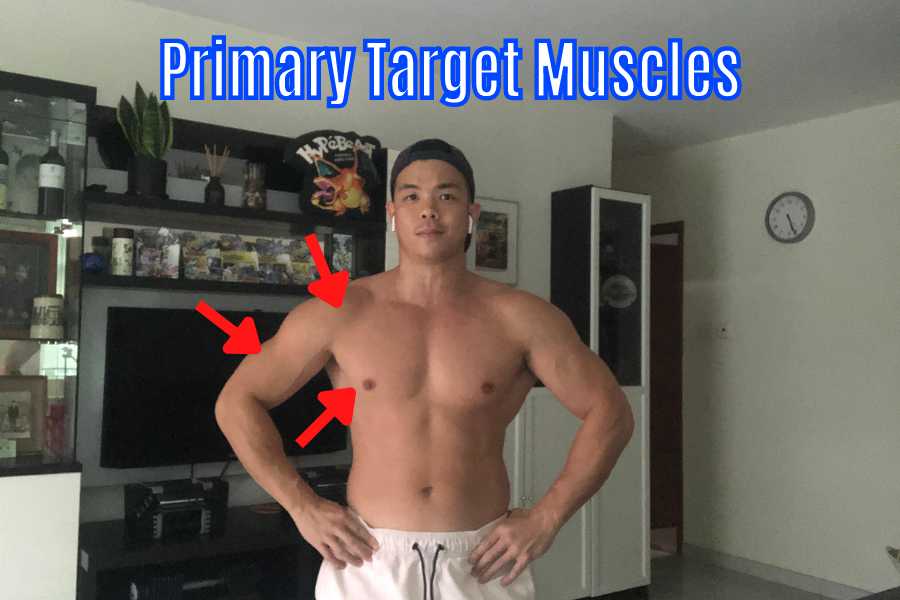 Target muscles worked when bench pressing with dumbbells.