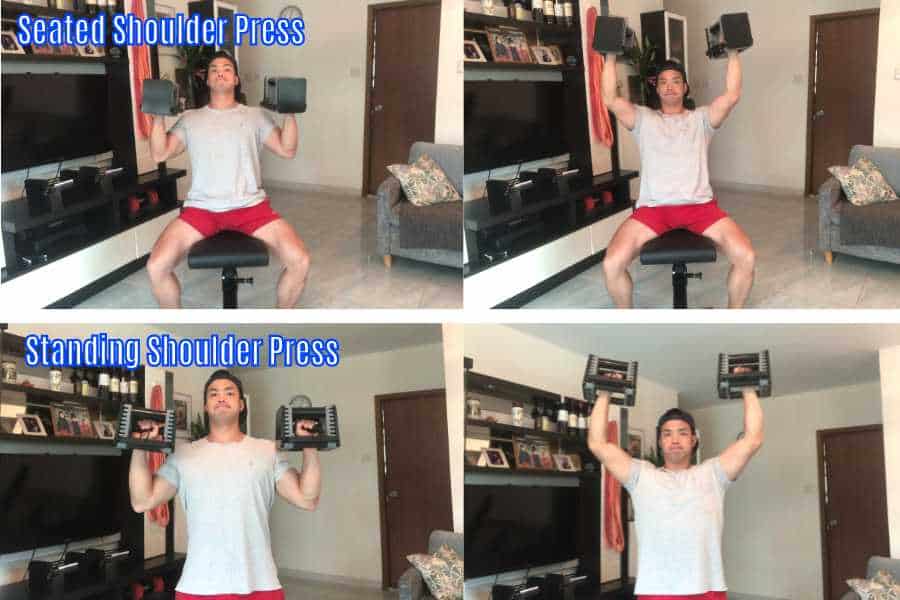 My seated and standing dumbbell shoulder press strength standards are based on 5 years of weight training experience.
