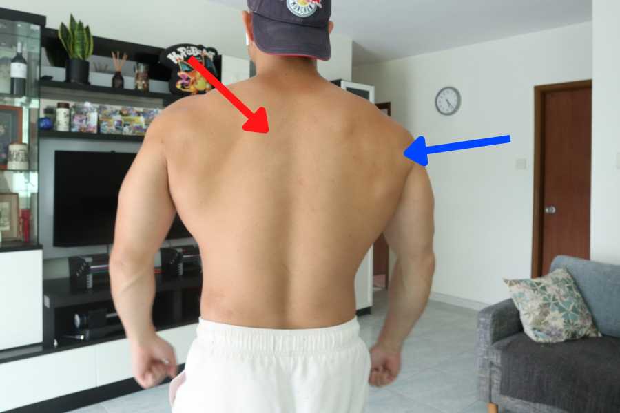 Target muscles worked by the reverse dumbbell fly.