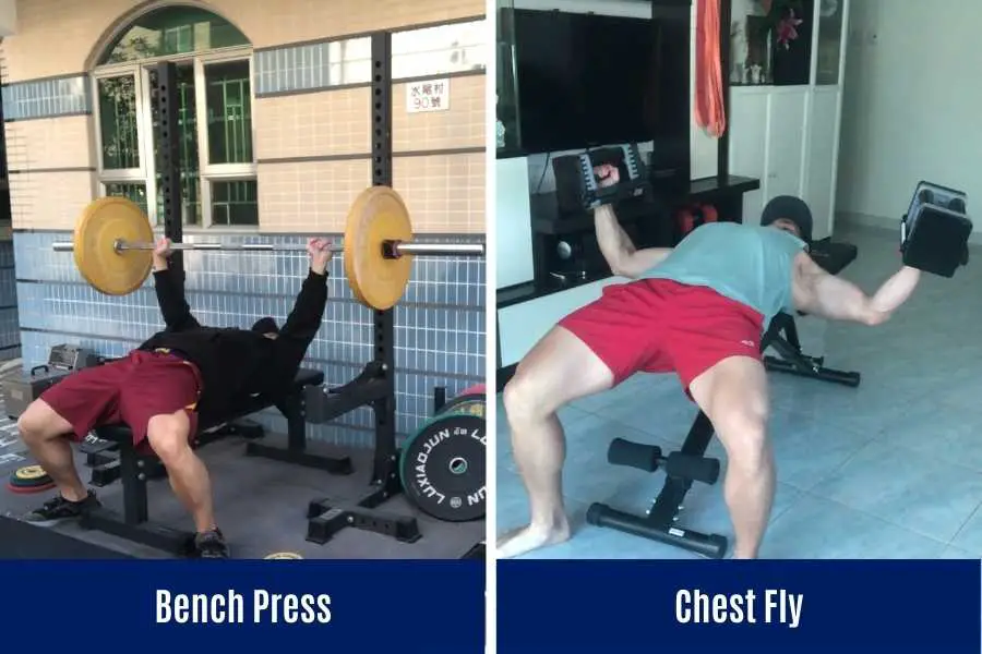 Chest fly vs barbell bench press pectoral activation statistic.