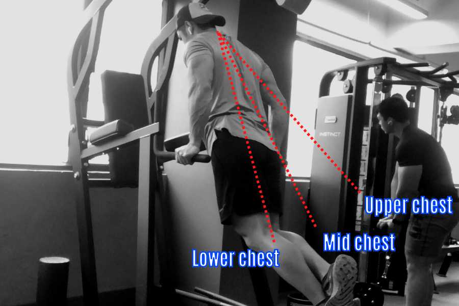 How lean angle affects which part of the chest the dip works.