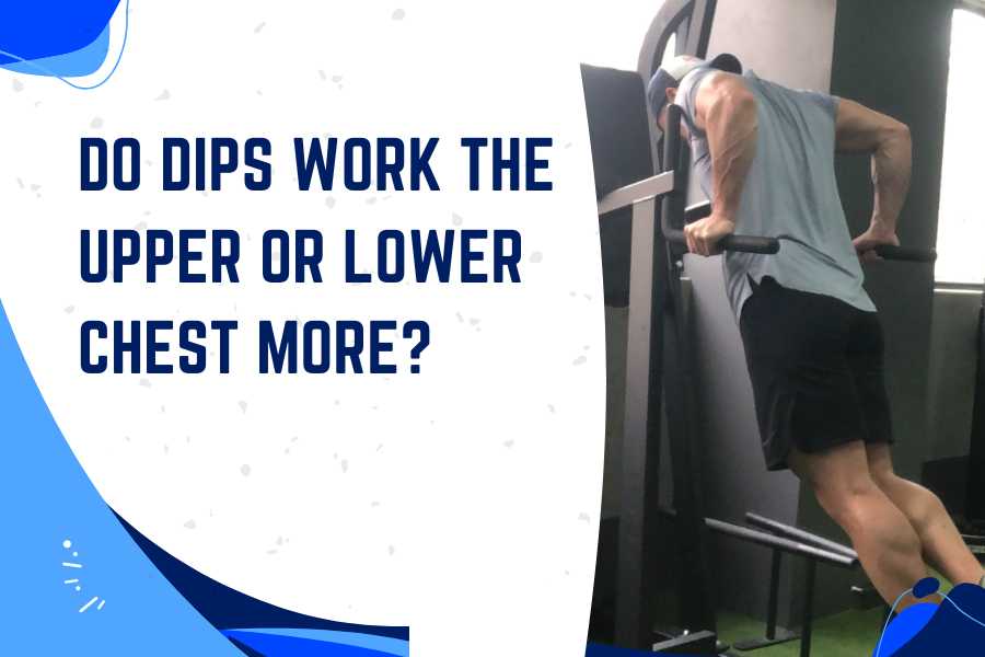 Do dips work the upper or lower chest.